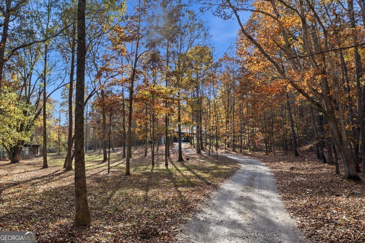 938 Marion Dairy Road Lindale - 41