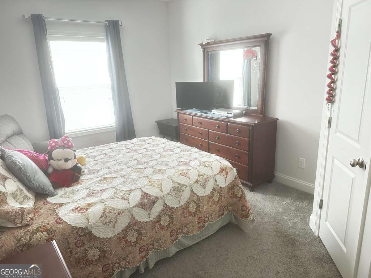 288 Brookstone Trail Dawsonville - 13