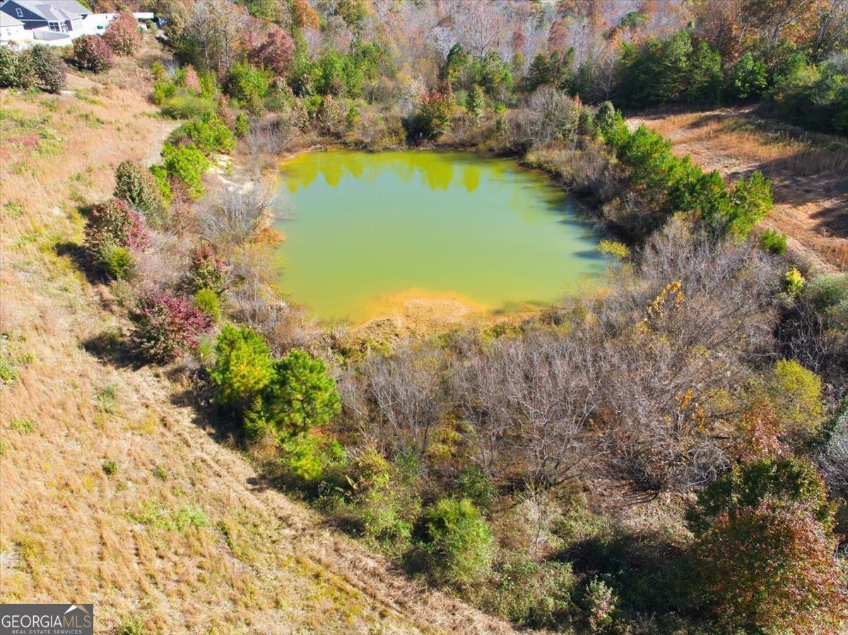 40 Sonoma Lane Ringgold - 42