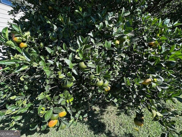 744 Sandy Bottom Drive Lake Park - 7