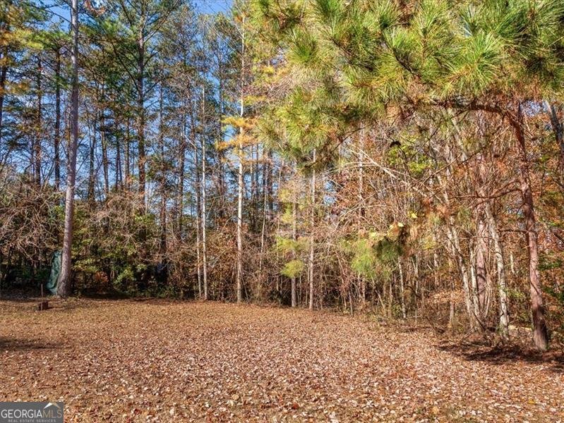 155 BRENTWOOD Drive Demorest - 7