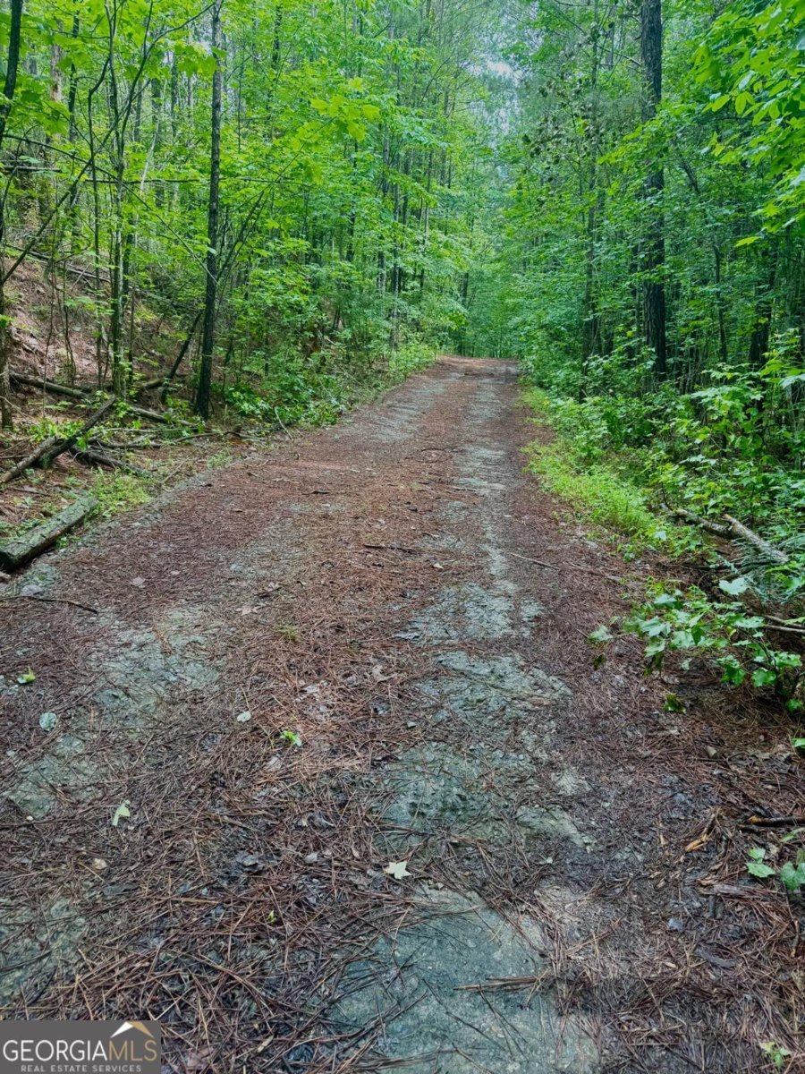 8872 Conners Road Villa Rica - 10