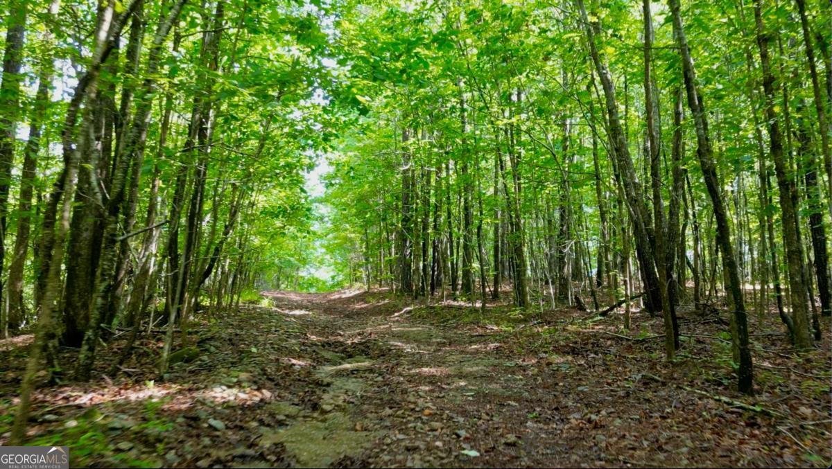 8872 Conners Road Villa Rica - 12