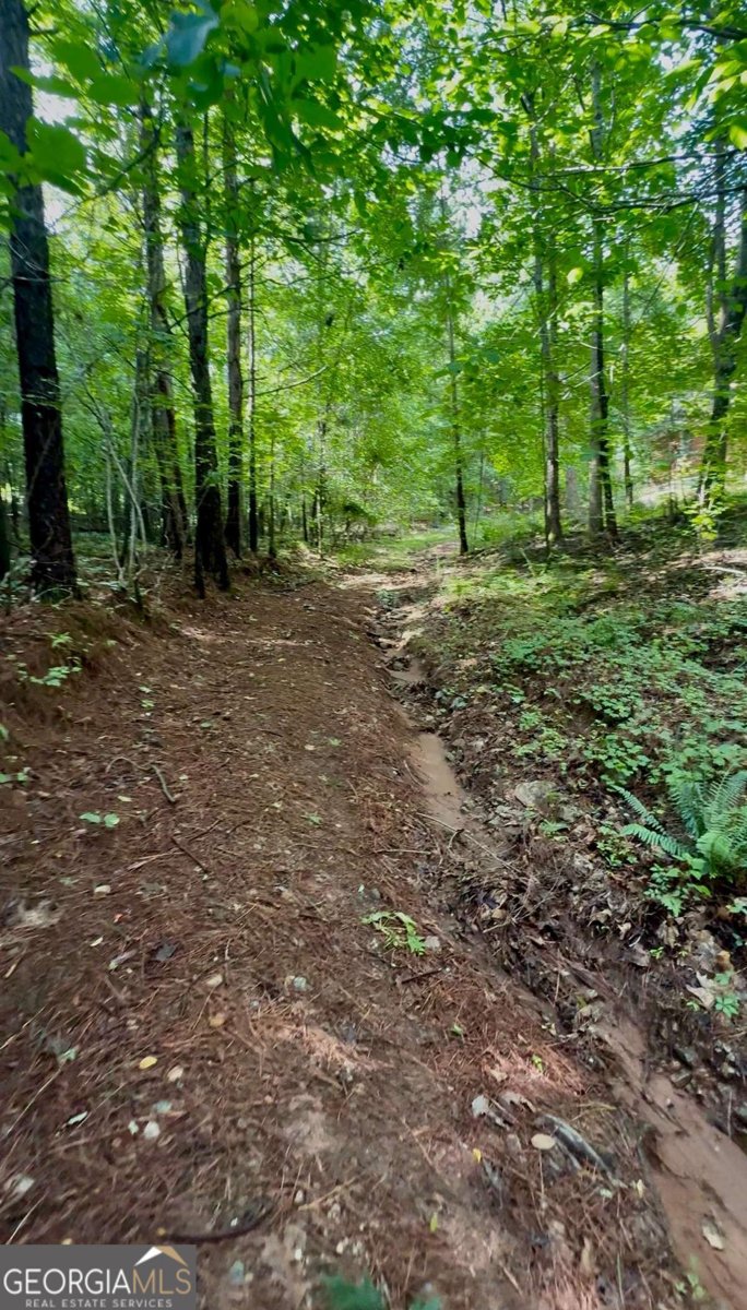 8872 Conners Road Villa Rica - 13