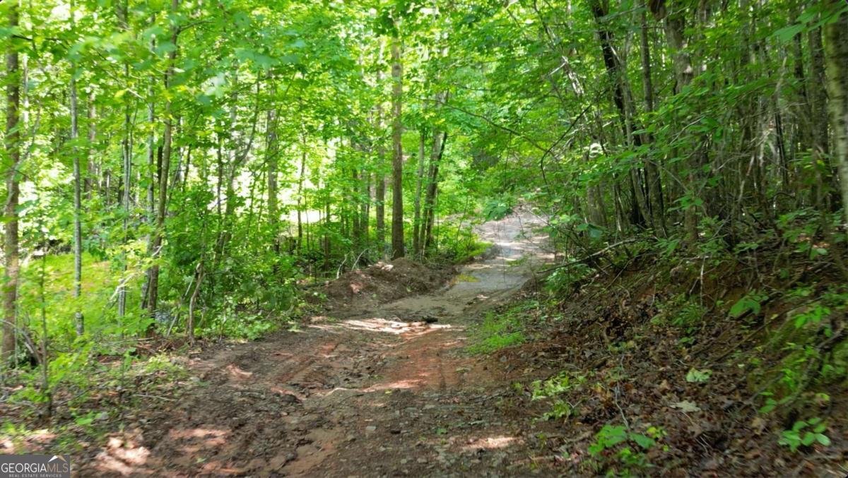 8872 Conners Road Villa Rica - Photo 18