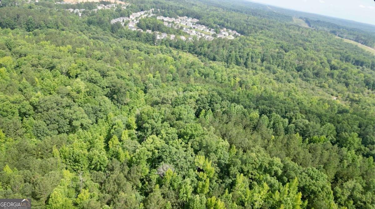 8872 Conners Road Villa Rica - 3