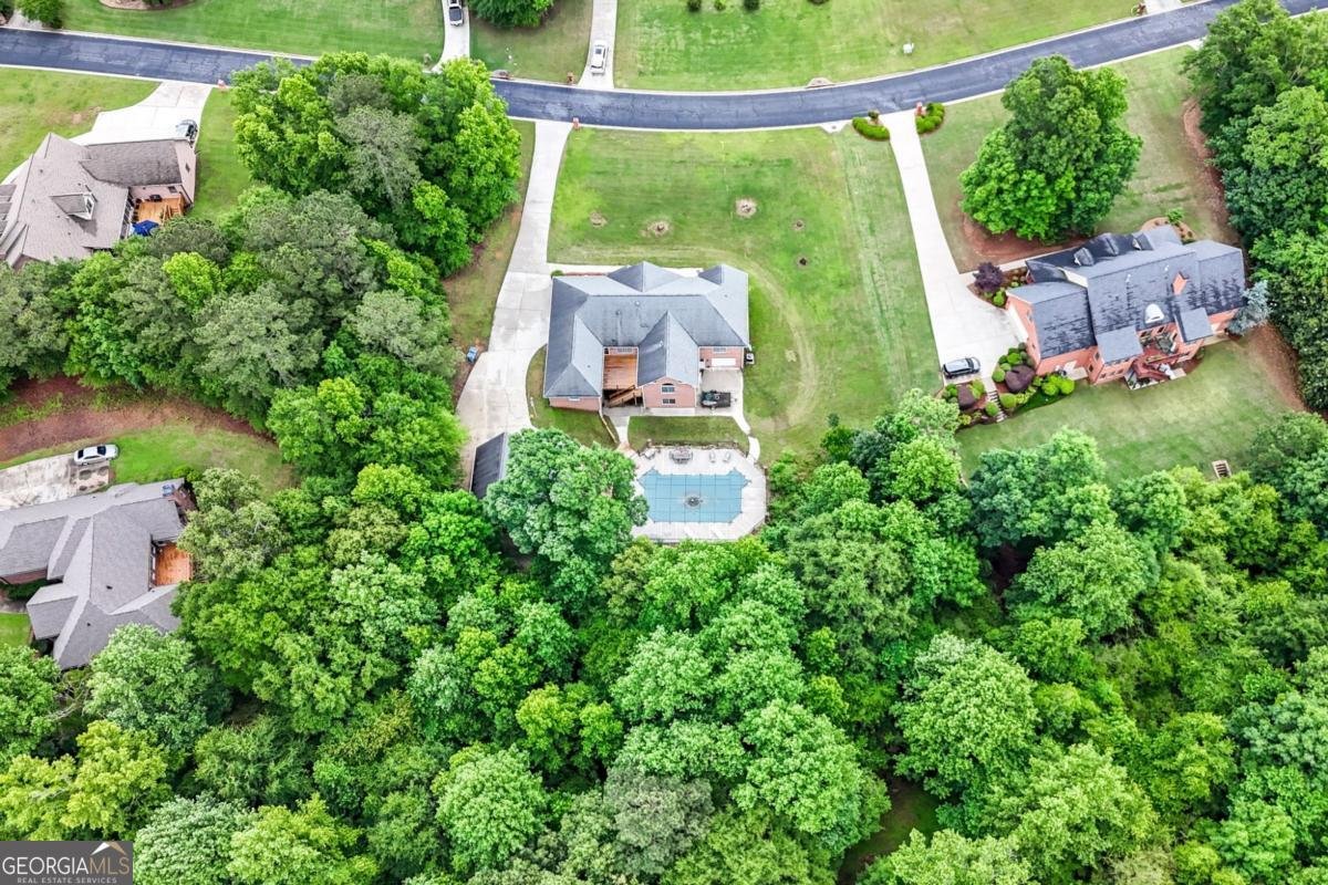 604 Clearwater Court Mcdonough - 45