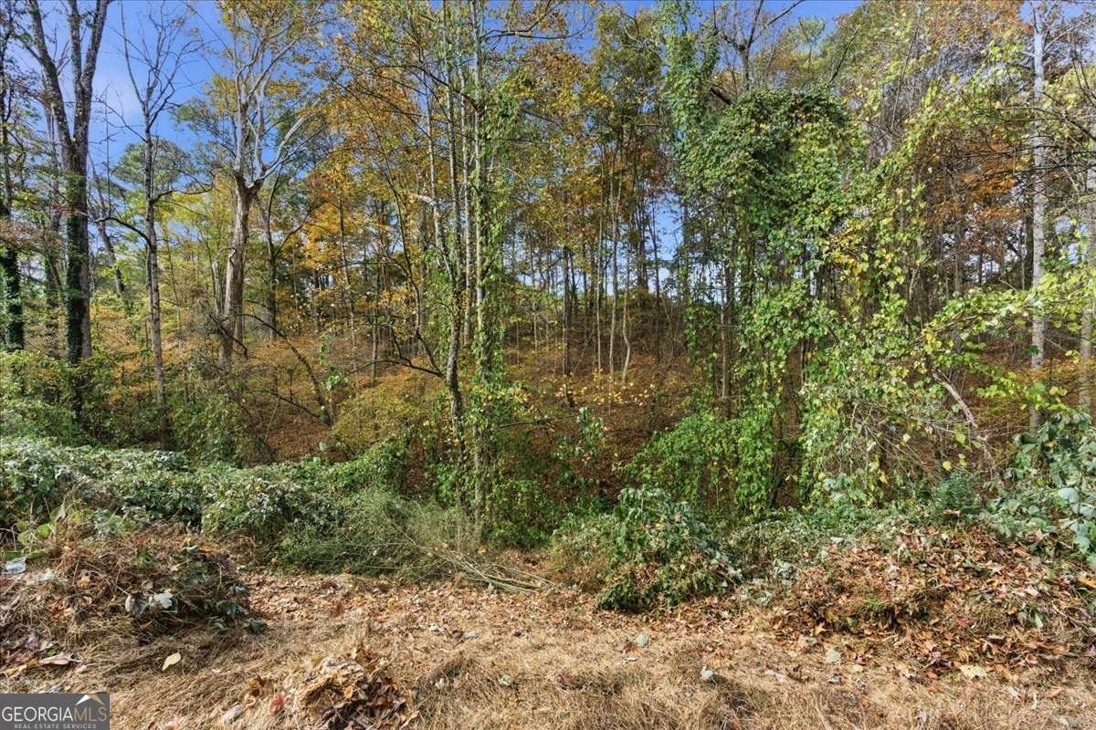 5186 Holiday Court Acworth - 10