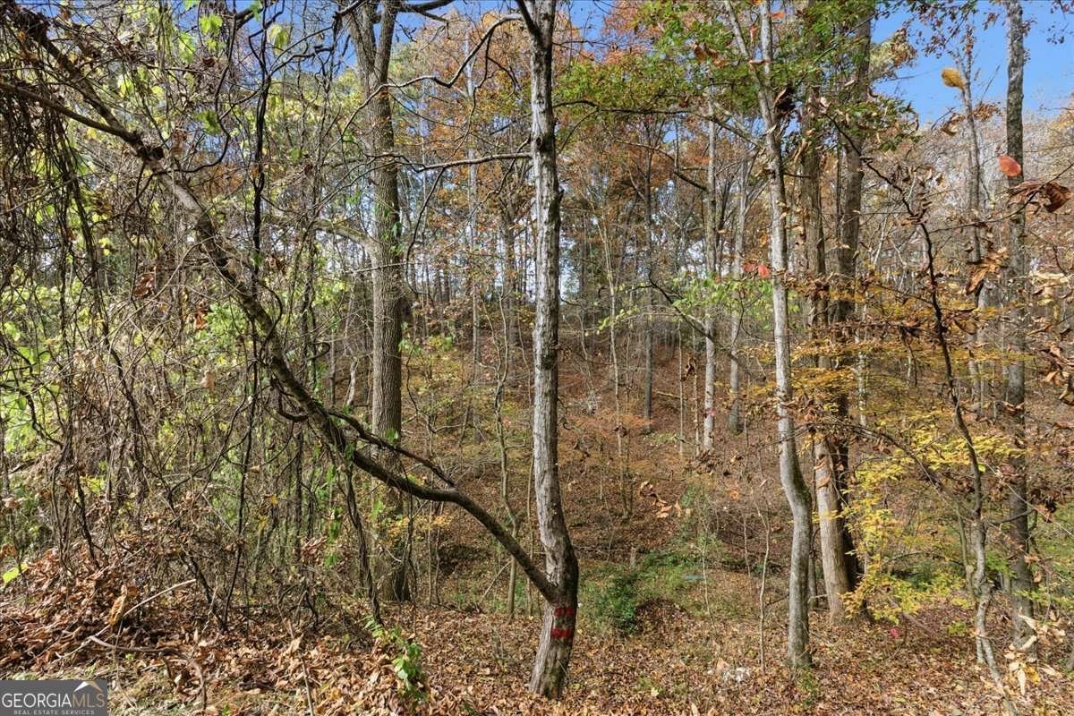 5186 Holiday Court Acworth - 11