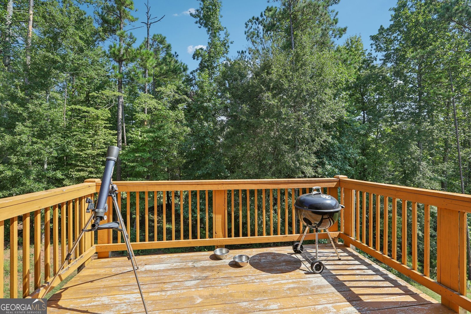 155 Filson Drive Senoia - 16