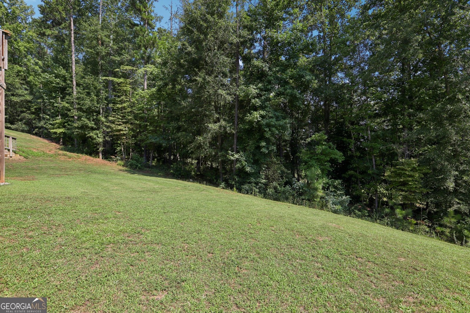 155 Filson Drive Senoia - 21