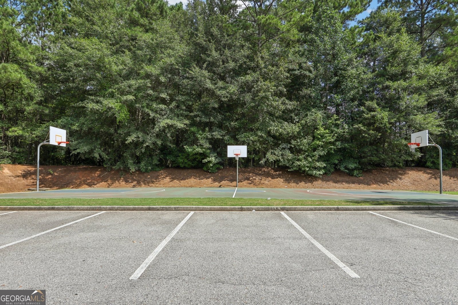 155 Filson Drive Senoia - 27