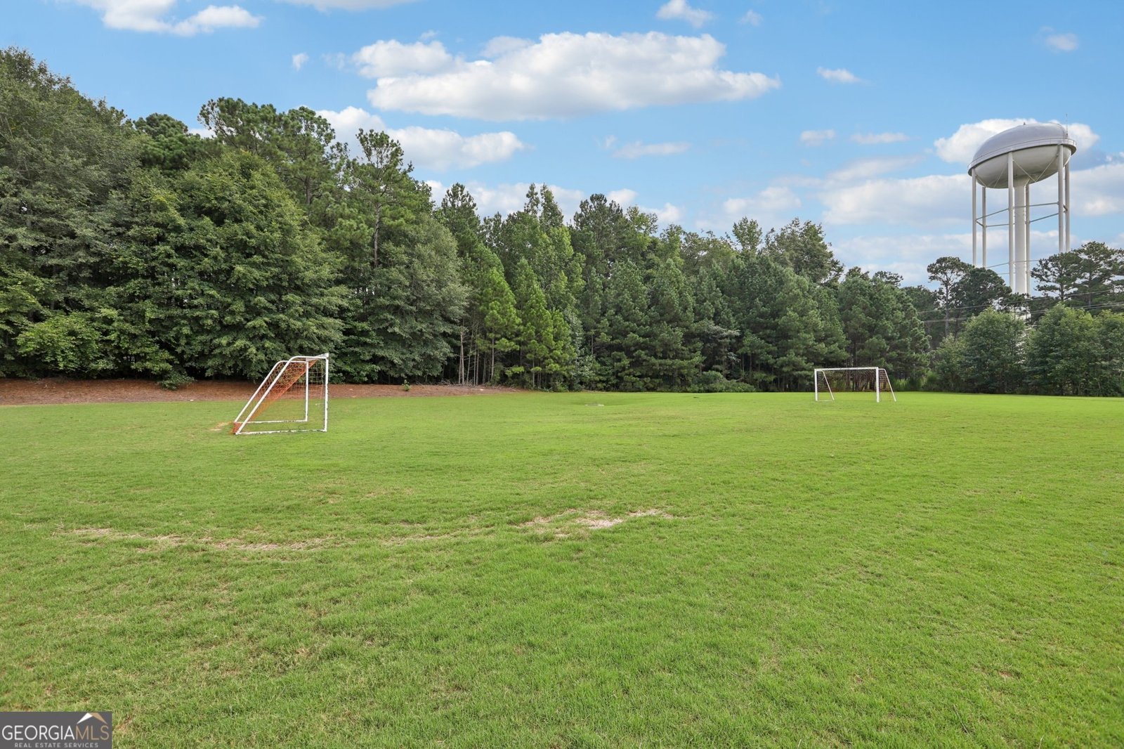 155 Filson Drive Senoia - 29