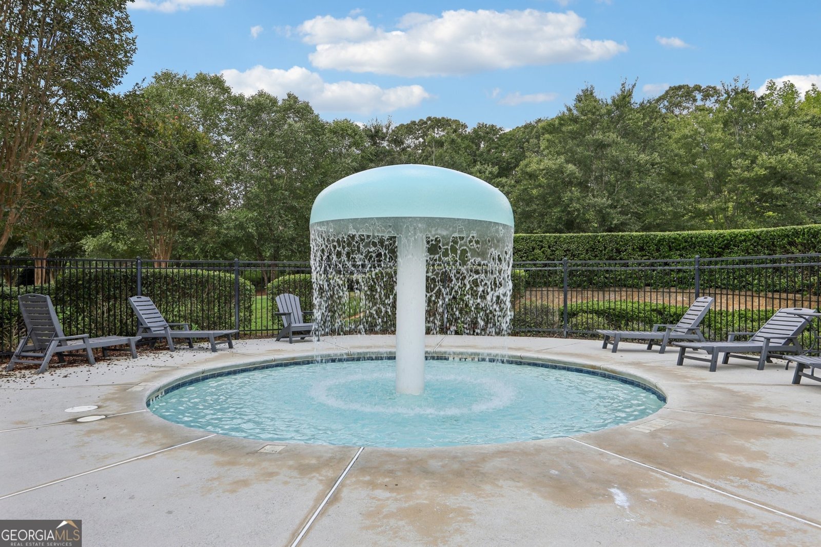 155 Filson Drive Senoia - 32