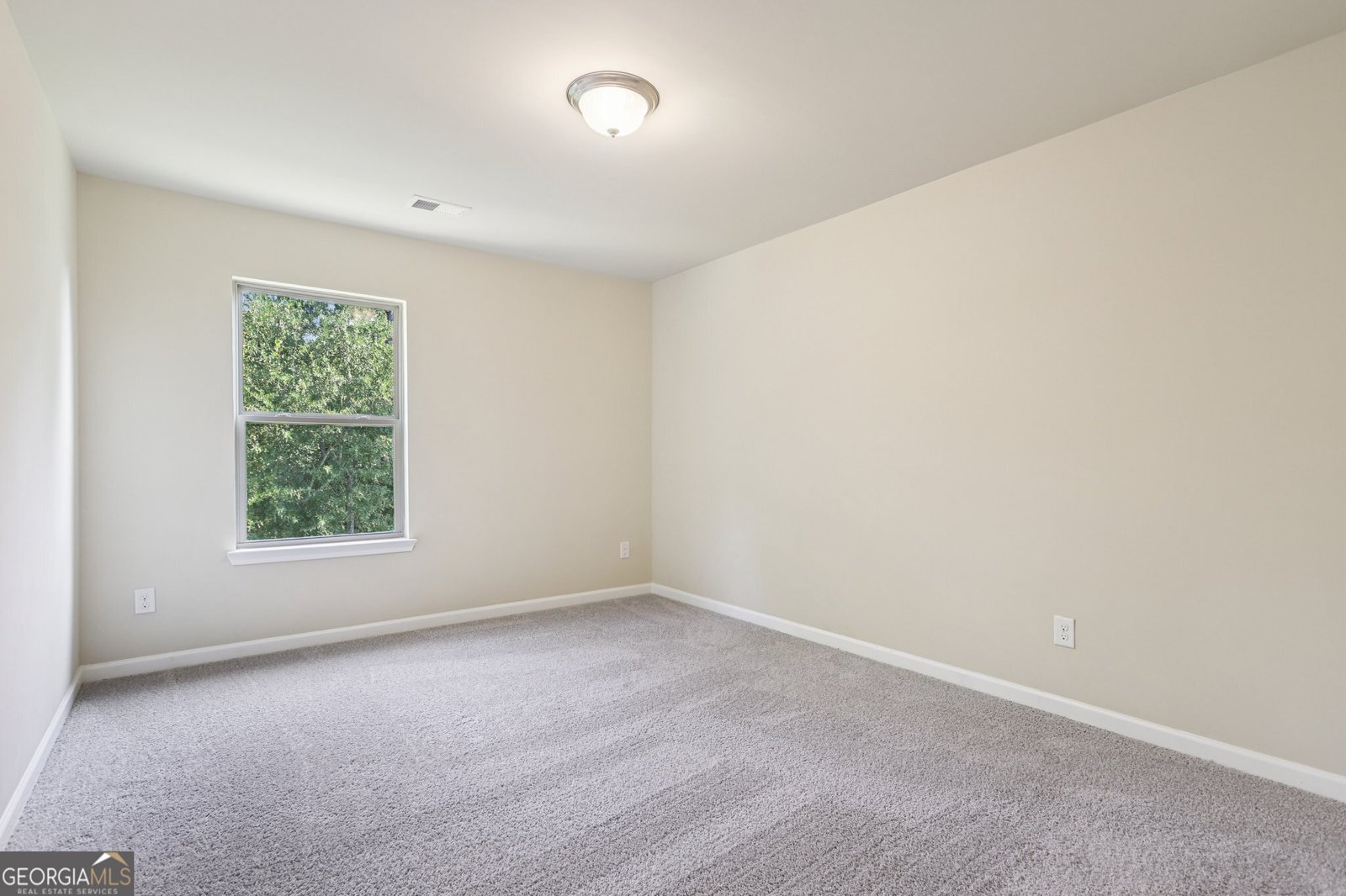 155 Filson Drive Senoia - 5