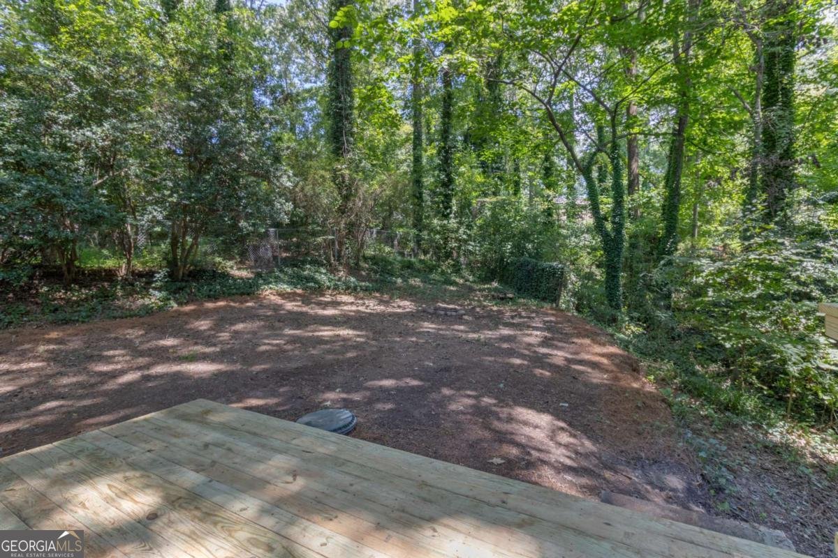 4922 Rock Springs Road Lithonia - 28