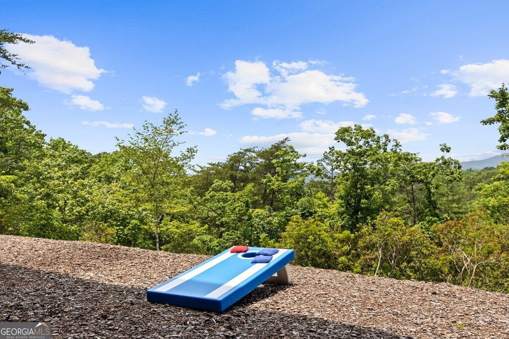 351 Black Dog Trail Morganton - 36