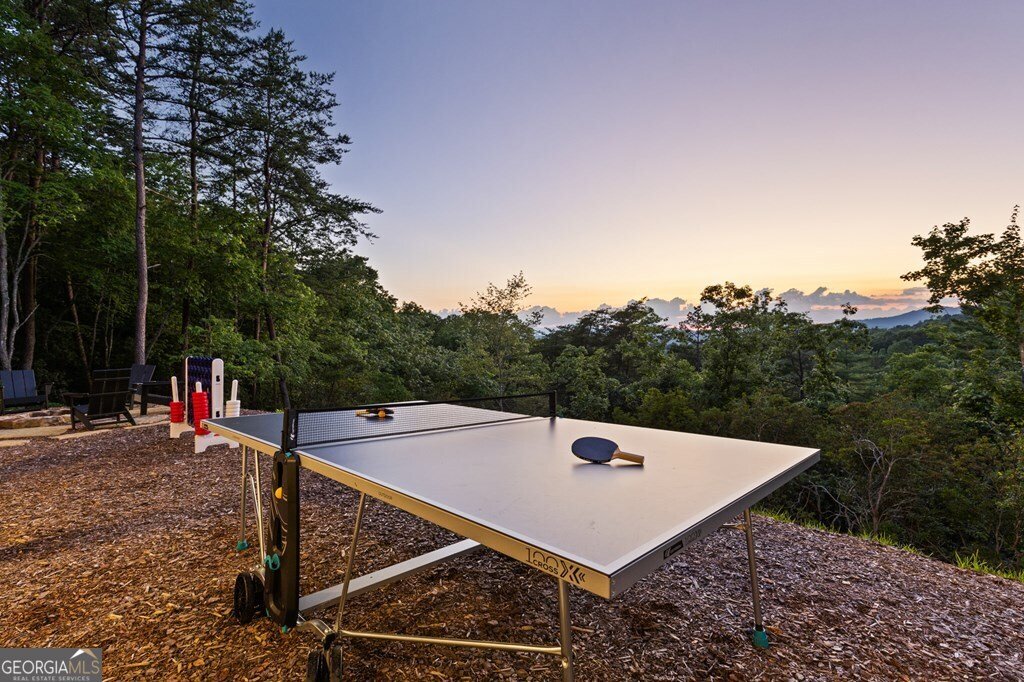 351 Black Dog Trail Morganton - 37