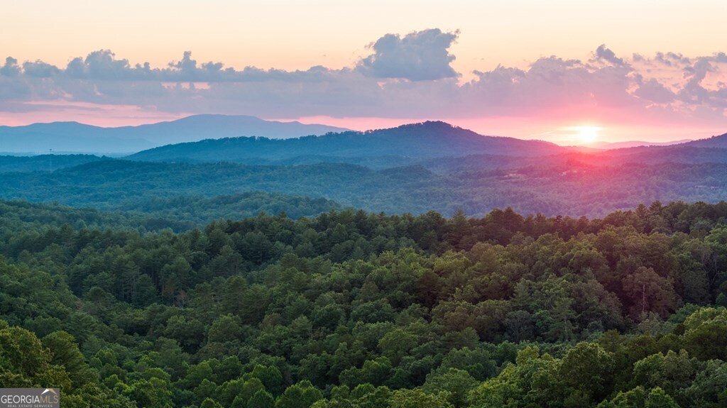 351 Black Dog Trail Morganton - 39