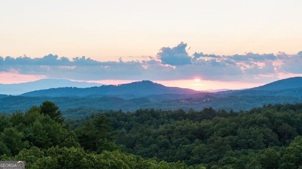 351 Black Dog Trail Morganton - 40