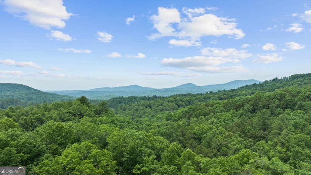 351 Black Dog Trail Morganton - 41