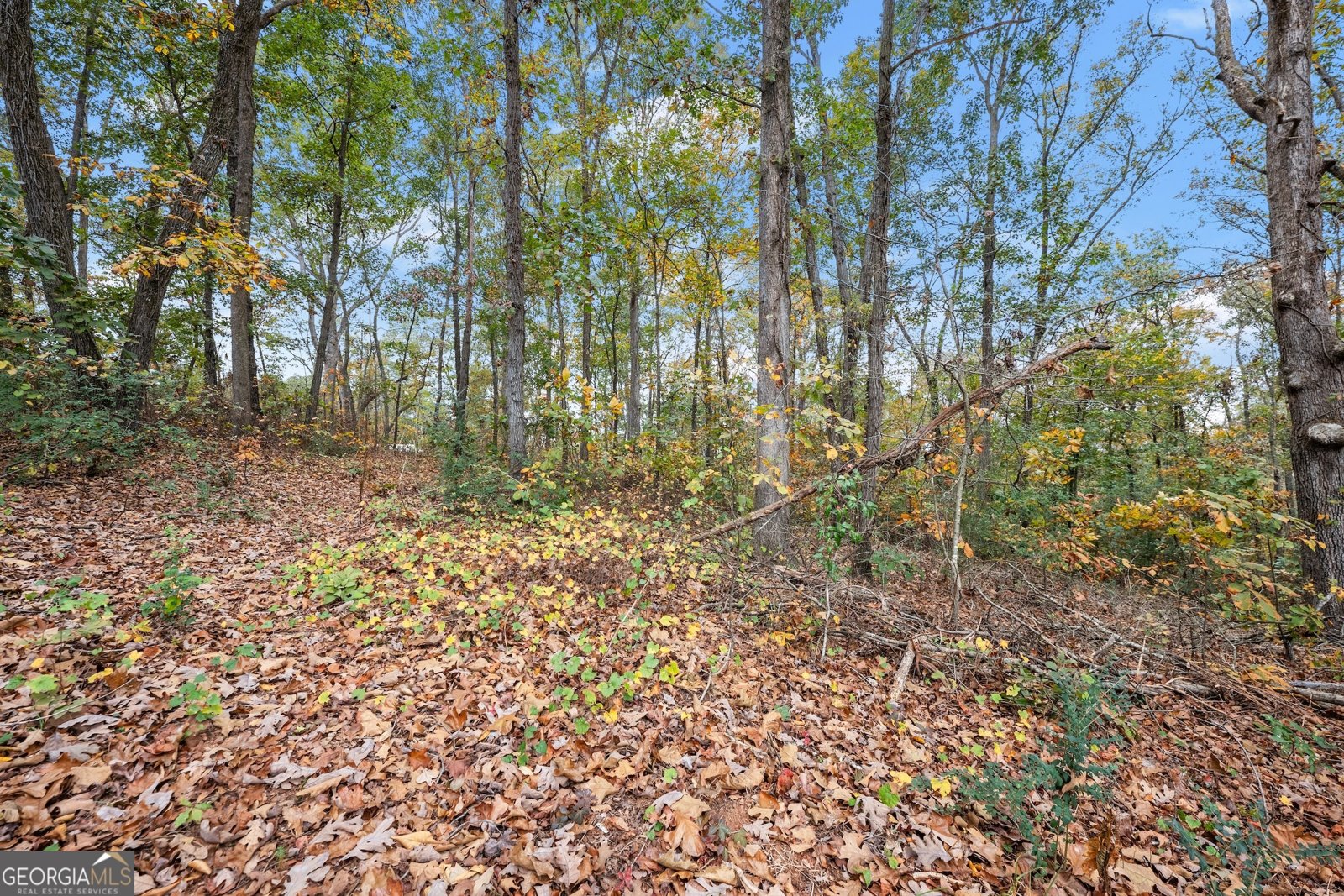 9 Dons Court Royston - 21