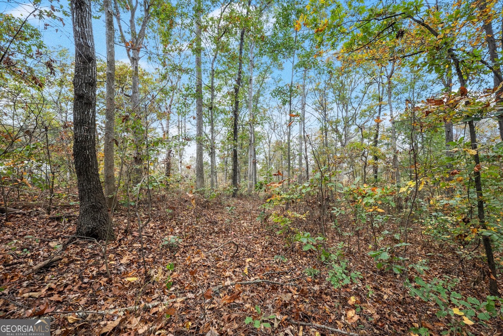 9 Dons Court Royston - 22