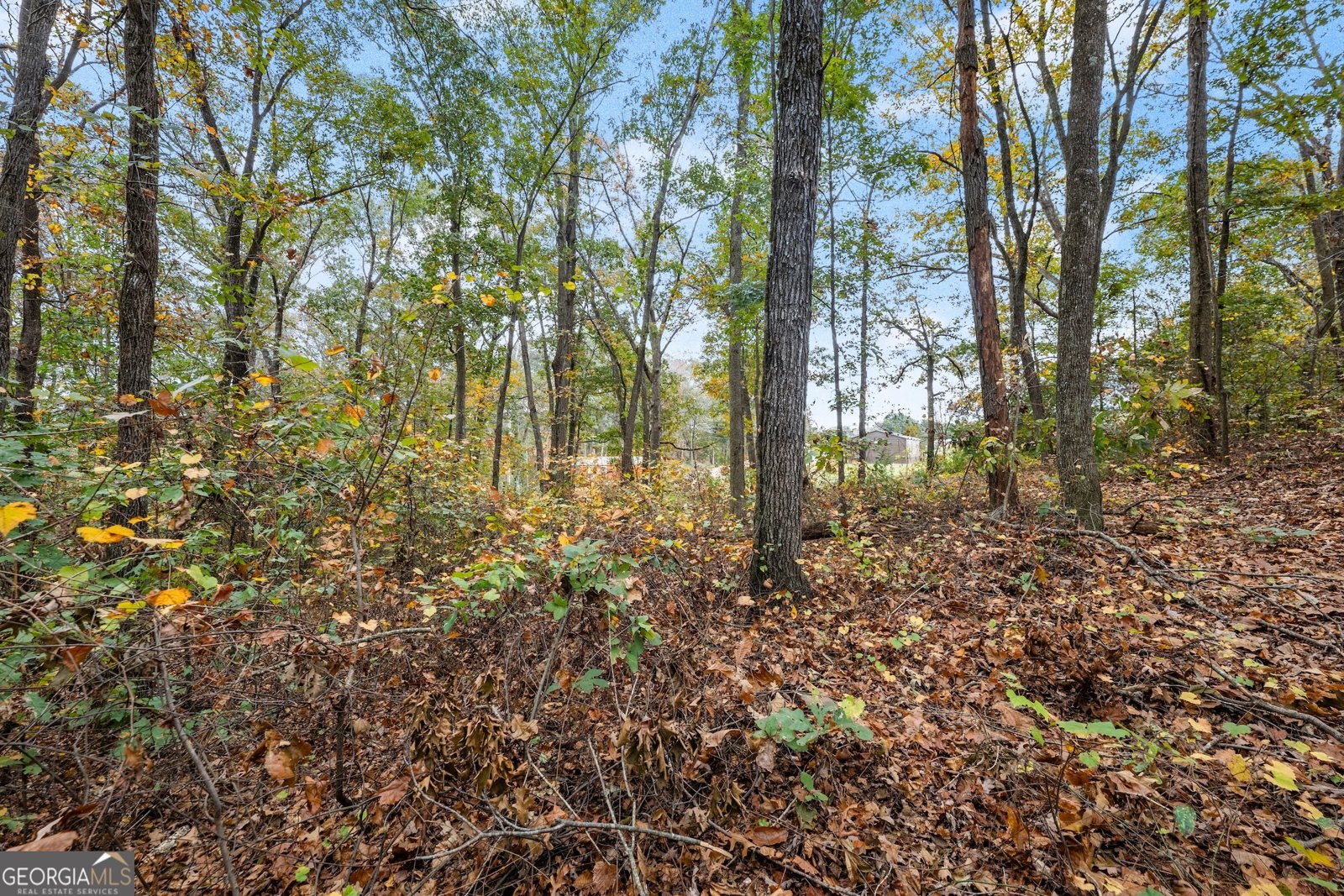 9 Dons Court Royston - 23