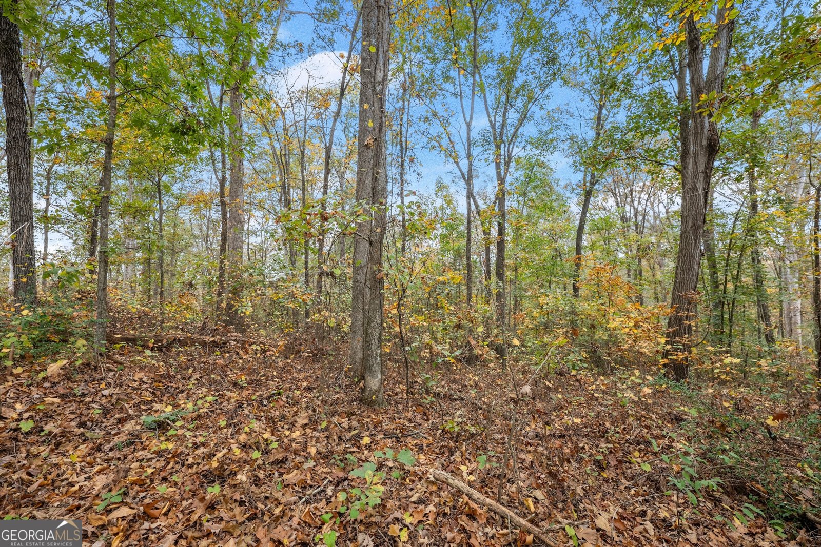 9 Dons Court Royston - 25