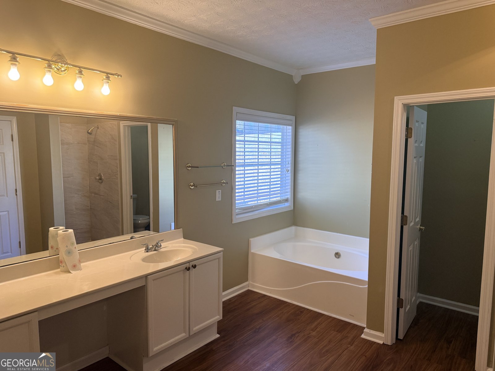 4561 Browns Mill Close Lithonia - 11