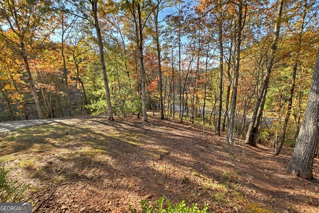 20 Riverwood Drive Blue Ridge - 10