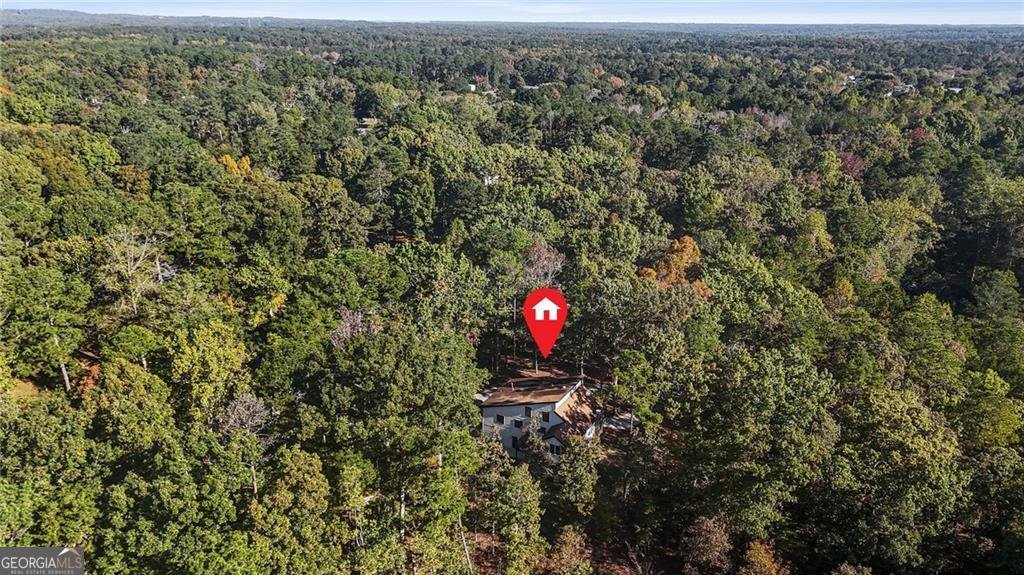 4013 Brenteresa Court Snellville - 52