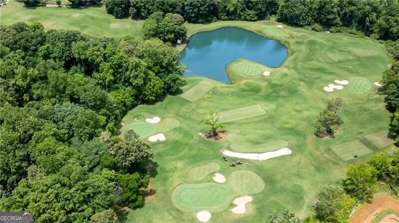 5844 Yoshino Cherry Lane Braselton - 6