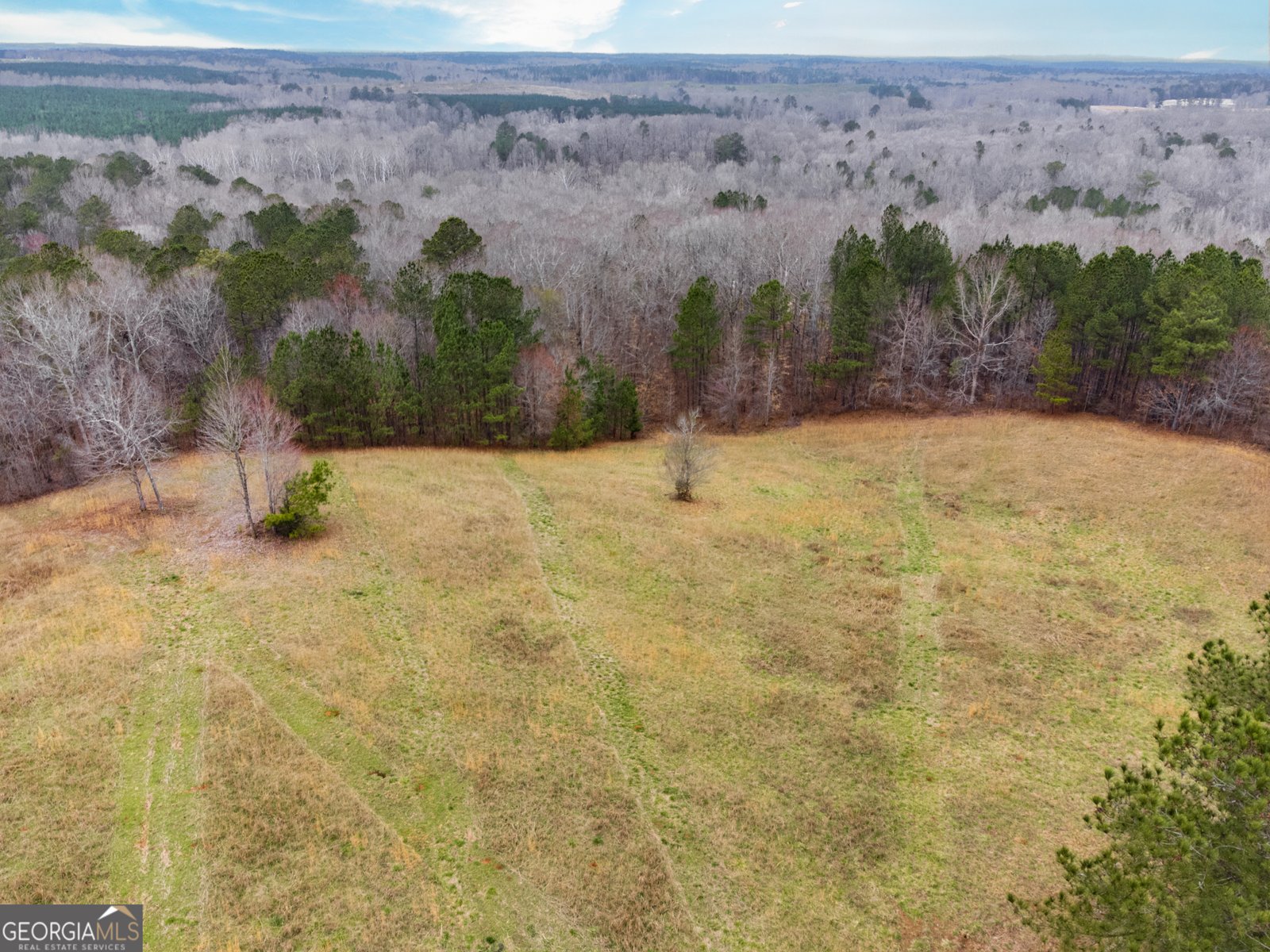 734 Fincher Road Covington - 80