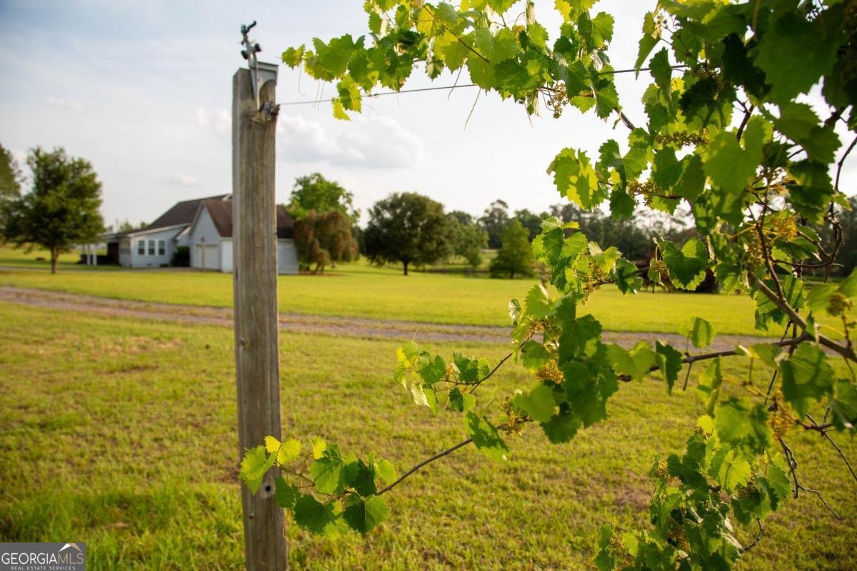 5407 Us Hwy 221 Uvalda - 31