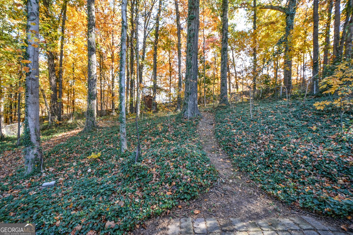 554 Alpine Way Marietta - 4