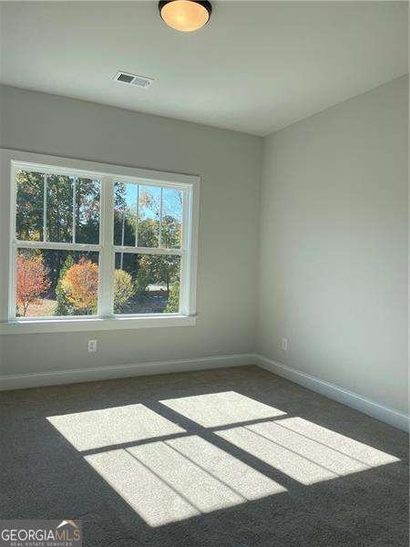 2942 Graham Gardens Lane Marietta - 41