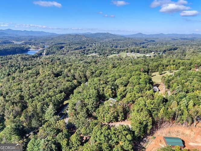 25 Scooter Lane Blairsville - 40