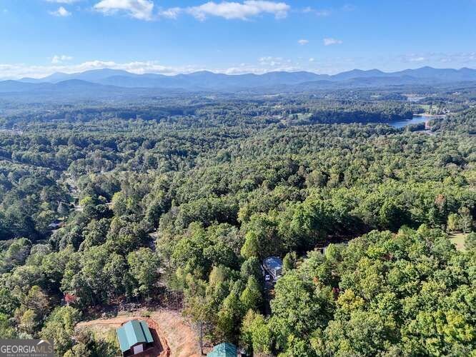 25 Scooter Lane Blairsville - 41