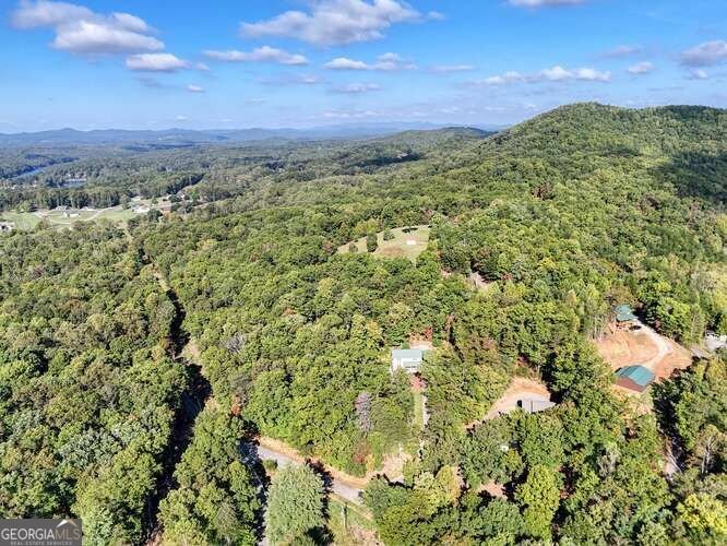 25 Scooter Lane Blairsville - 44