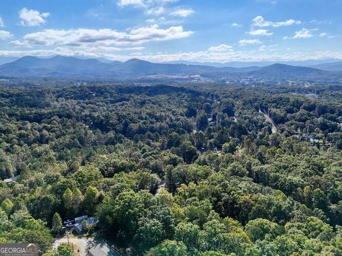 25 Scooter Lane Blairsville - 61