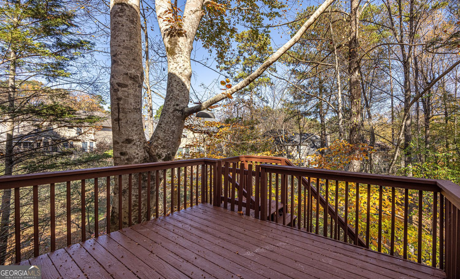 11575 Windbrooke Way Johns Creek - 59