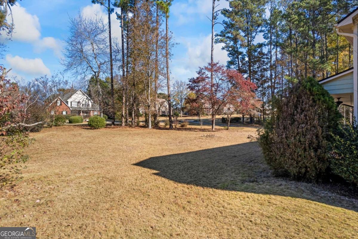 1500 Lake Dow Road Mcdonough - 33