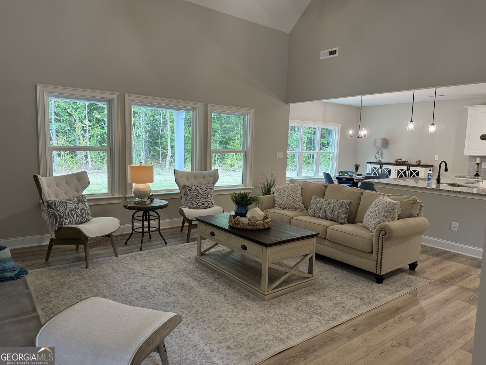 92 Commanche Circle Williamson - 15