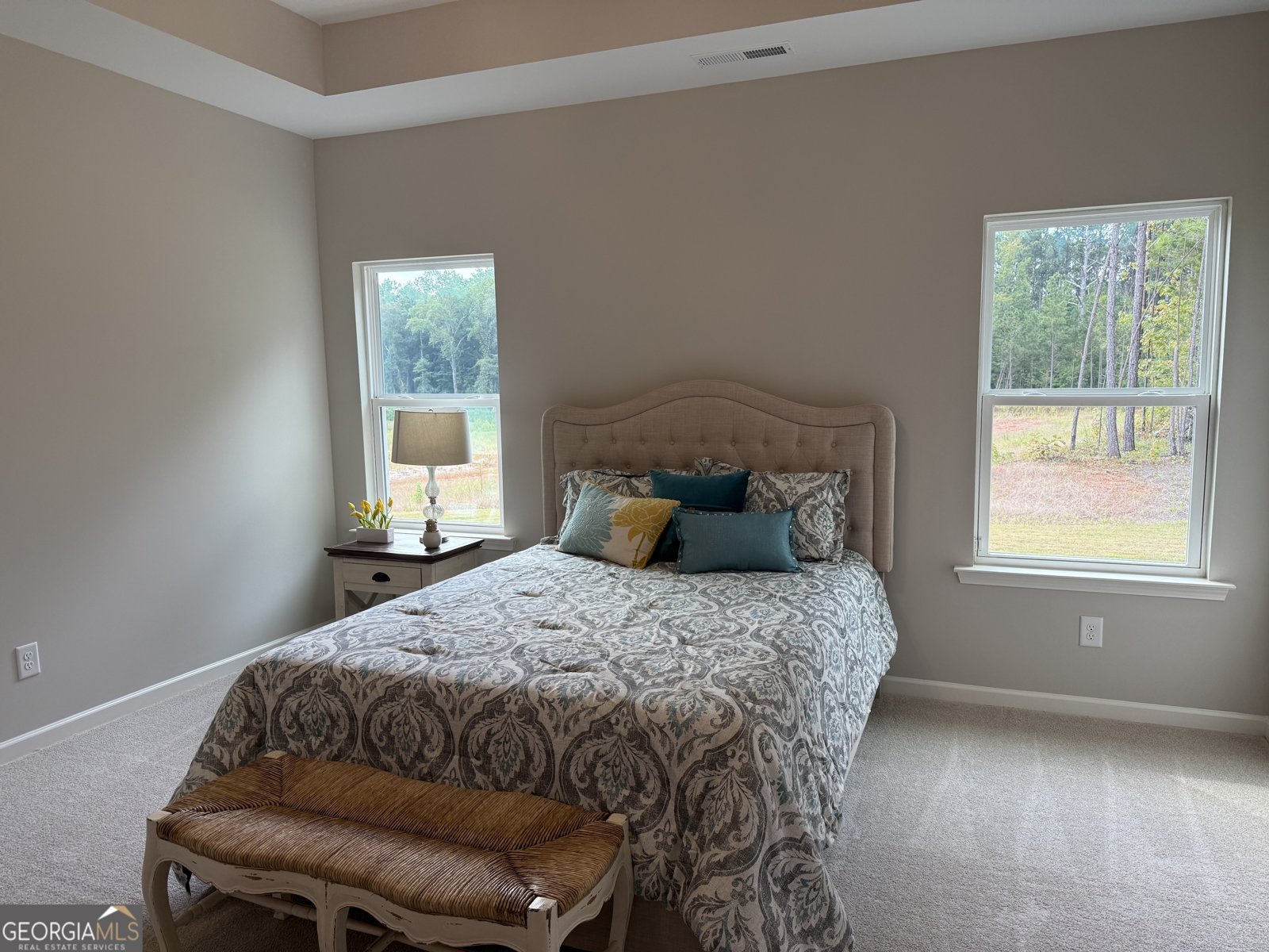 92 Commanche Circle Williamson - 37