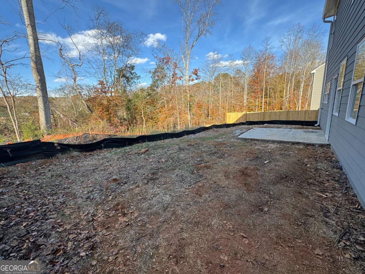 304 Bloomfield Circle Canton - 6