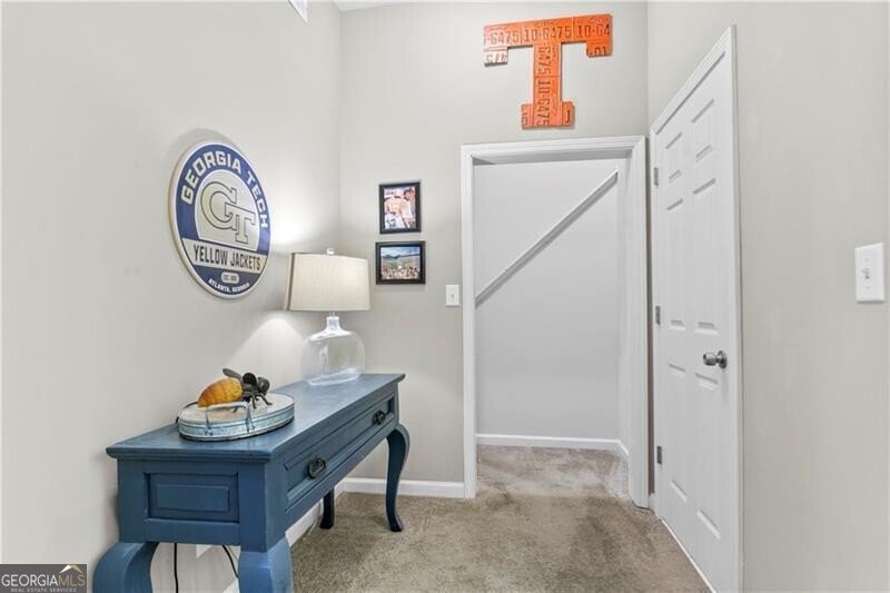 2643 Timberbrooke Place Duluth - 30