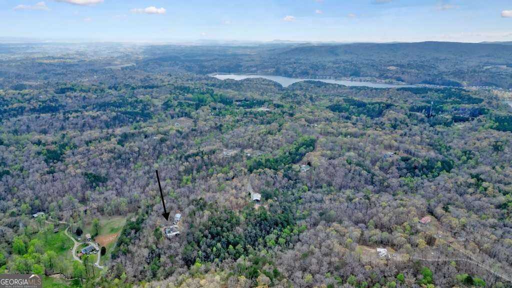 865 Old Mill Lane Waleska - 10