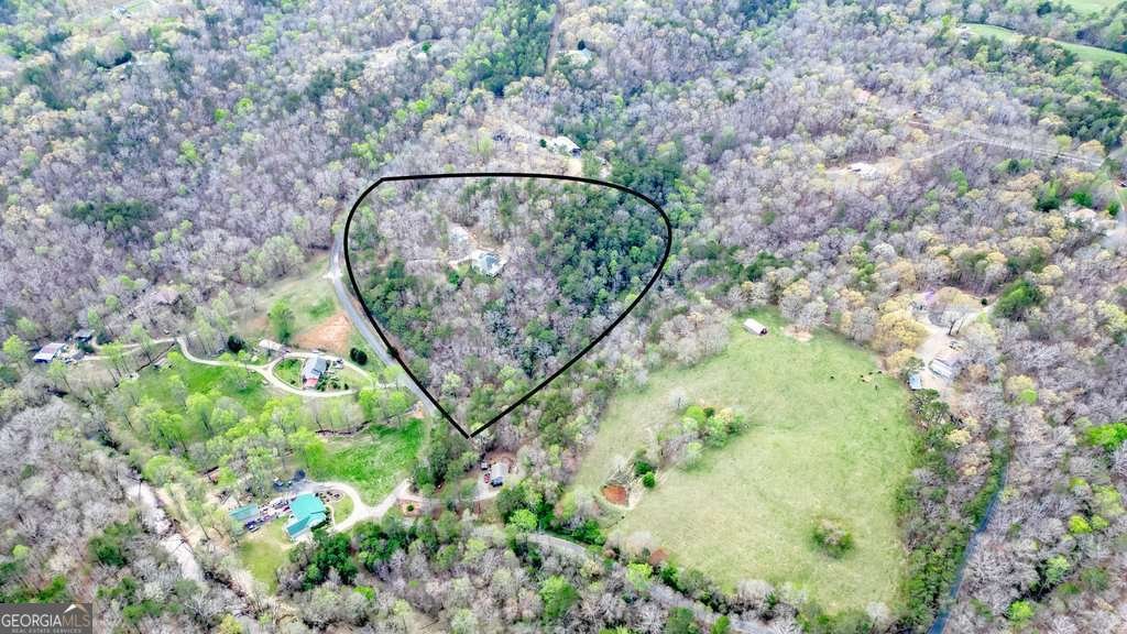 865 Old Mill Lane Waleska - 12