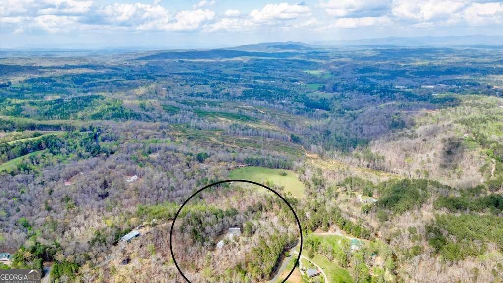 865 Old Mill Lane Waleska - 9